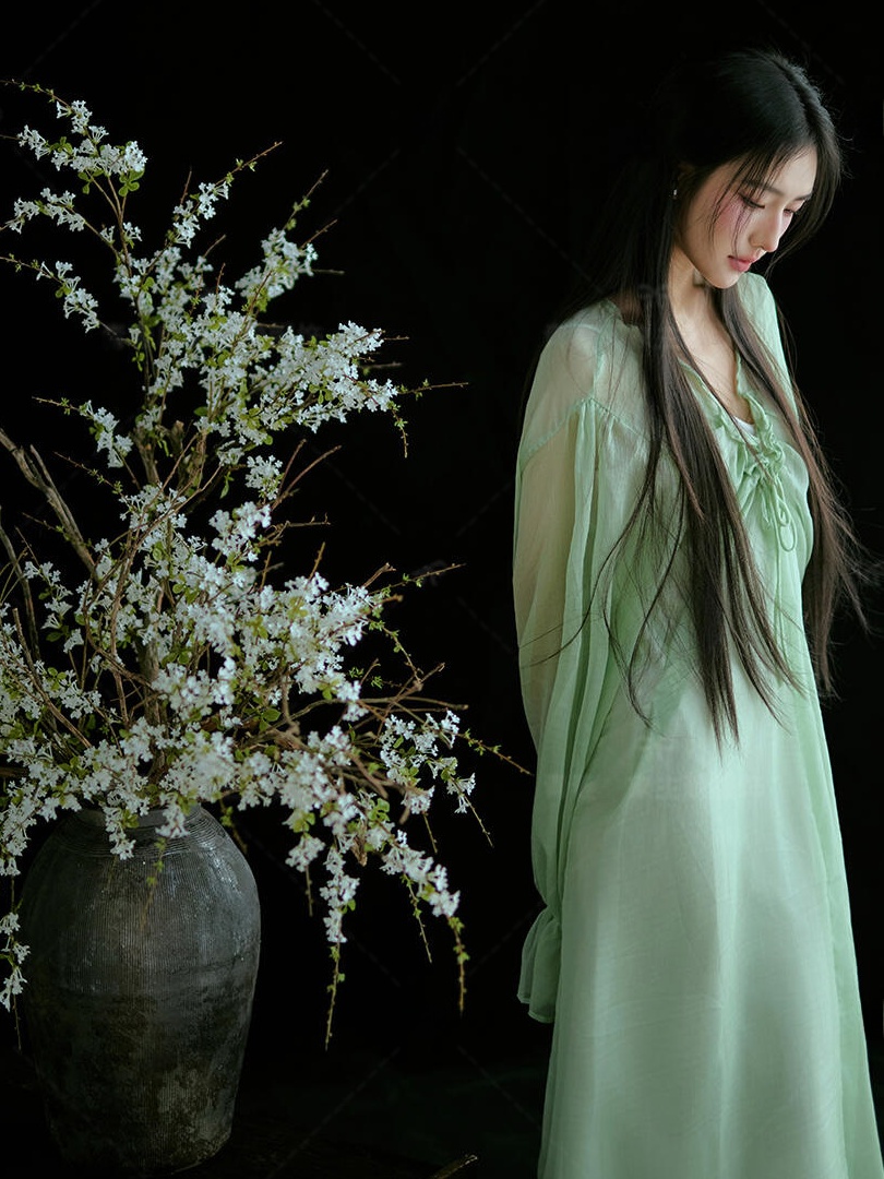 Chinese Style Green Dress Trad - Ethnic Fashion Studio recensie en prijs